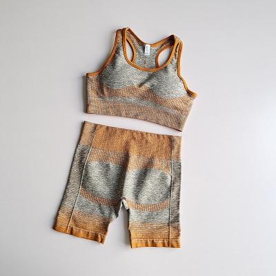 Women's Seamless Yoga Set - Long Sleeve Gym Top