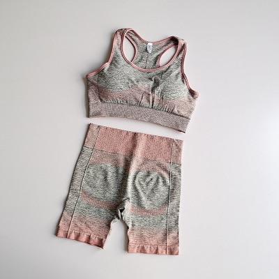 Women's Seamless Yoga Set - Long Sleeve Gym Top